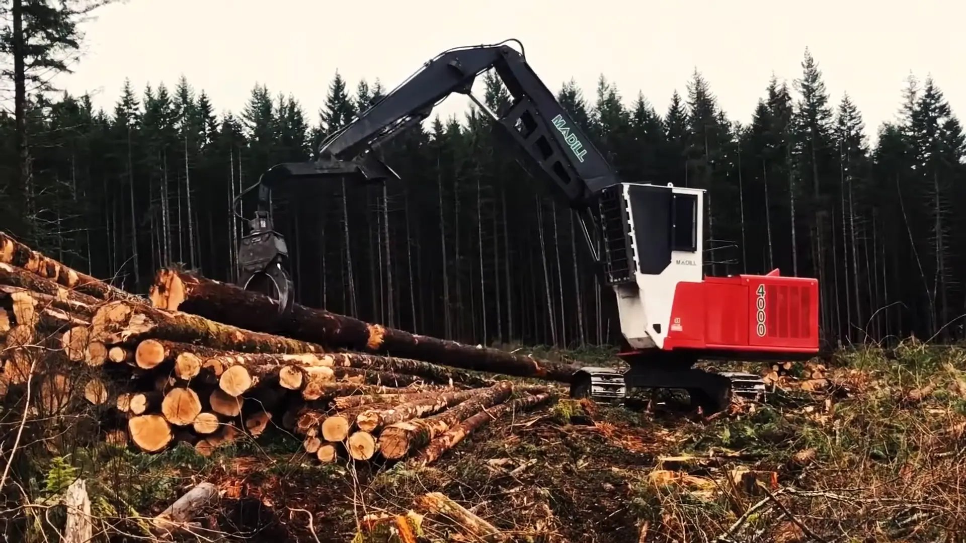 Madill Log Loader 4000
